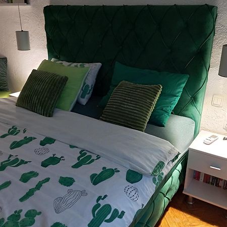 Green Cactus Rooms - Unique And Cozy House Senta Exterior photo