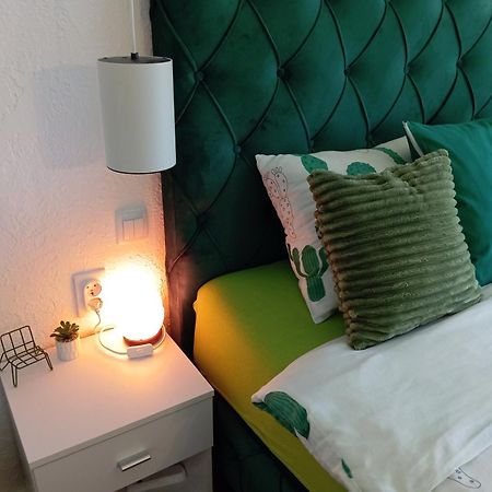 Green Cactus Rooms - Unique And Cozy House Senta Exterior photo