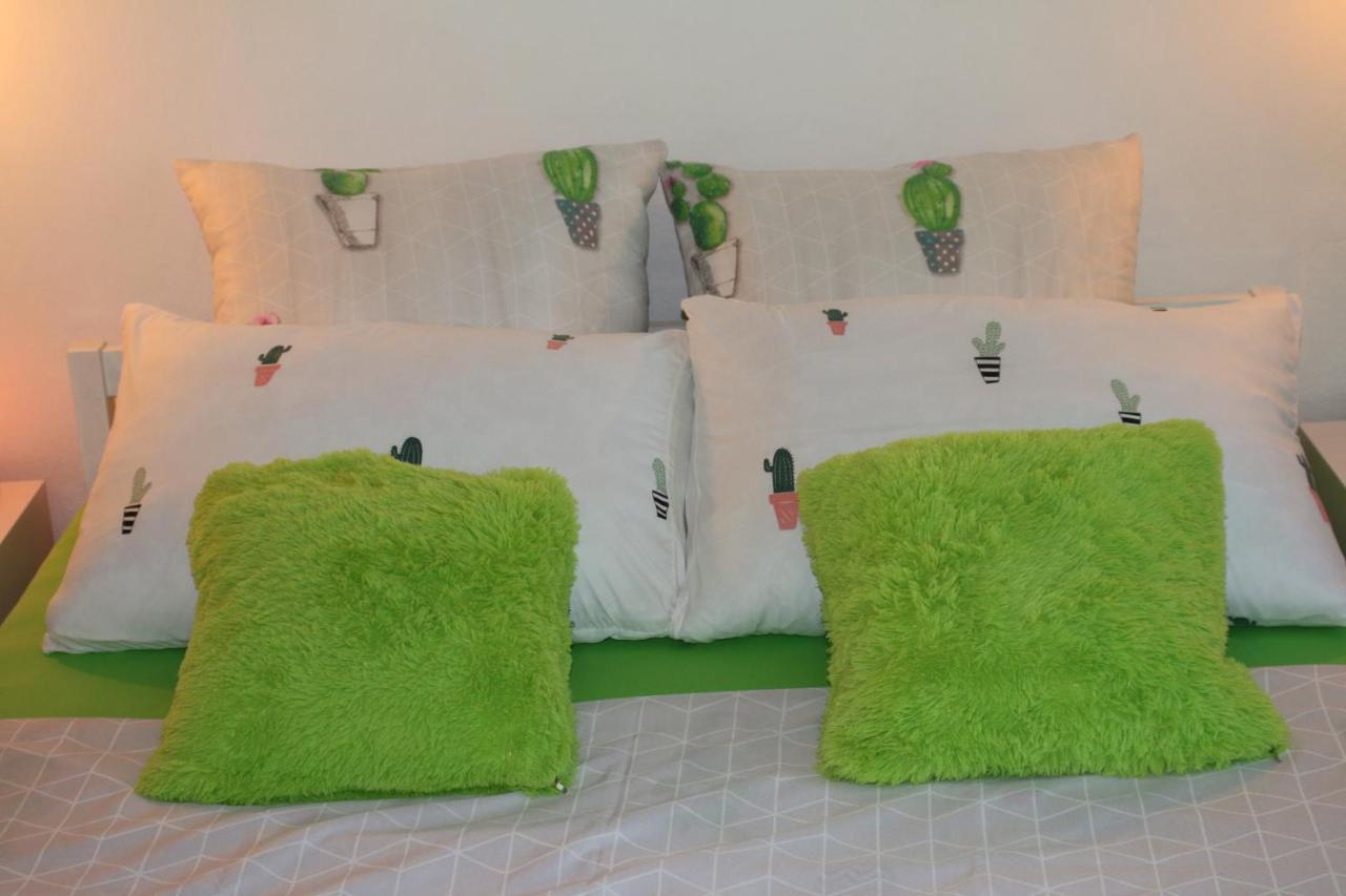 Green Cactus Rooms - Unique And Cozy House Senta Exterior photo