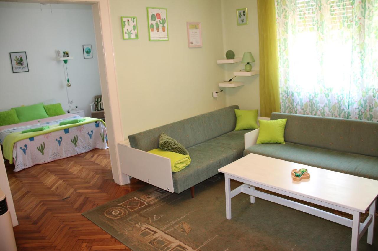 Green Cactus Rooms - Unique And Cozy House Senta Exterior photo