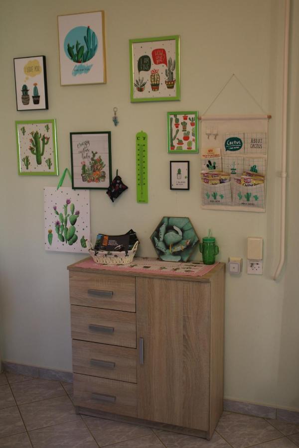 Green Cactus Rooms - Unique And Cozy House Senta Exterior photo