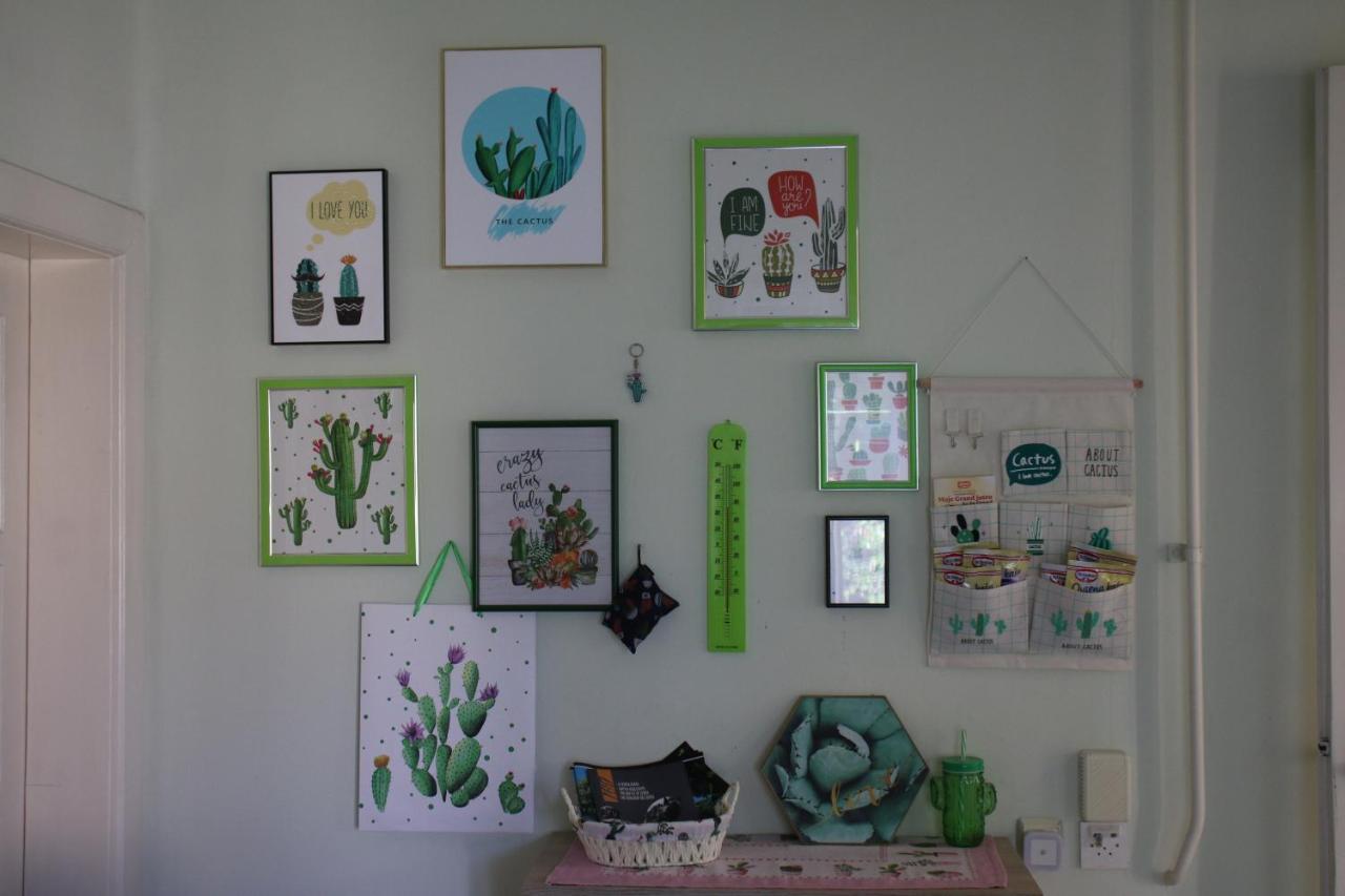 Green Cactus Rooms - Unique And Cozy House Senta Exterior photo