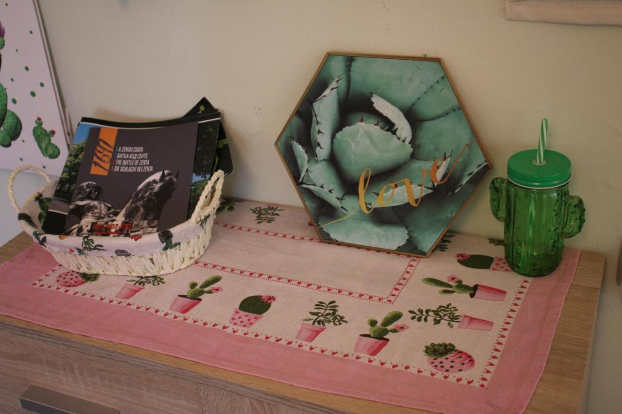 Green Cactus Rooms - Unique And Cozy House Senta Exterior photo