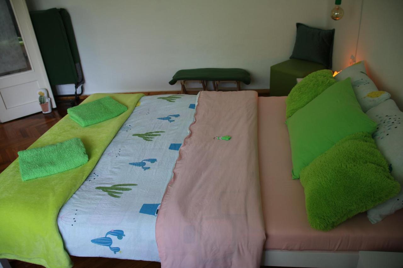 Green Cactus Rooms - Unique And Cozy House Senta Exterior photo