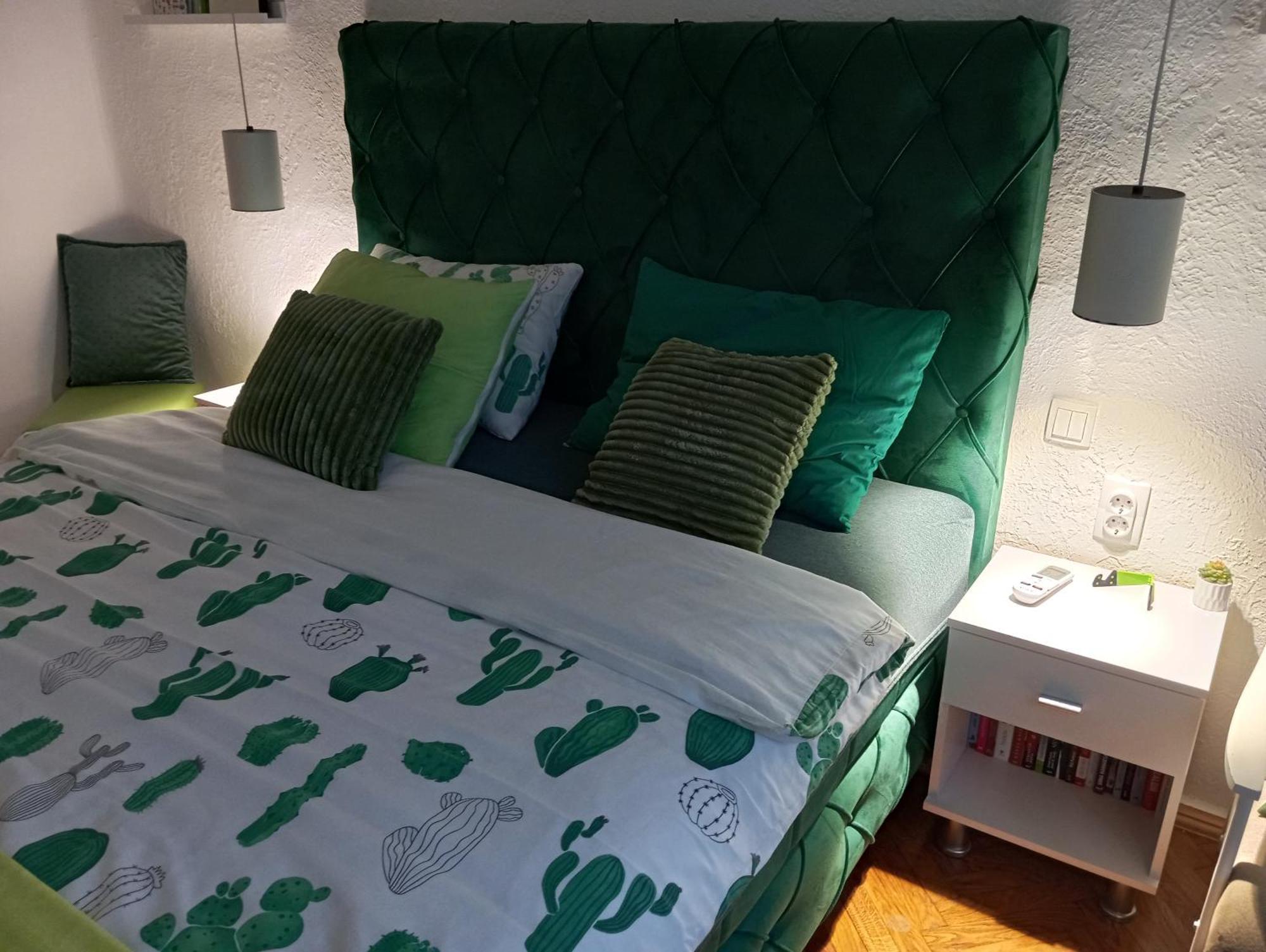 Green Cactus Rooms - Unique And Cozy House Senta Exterior photo