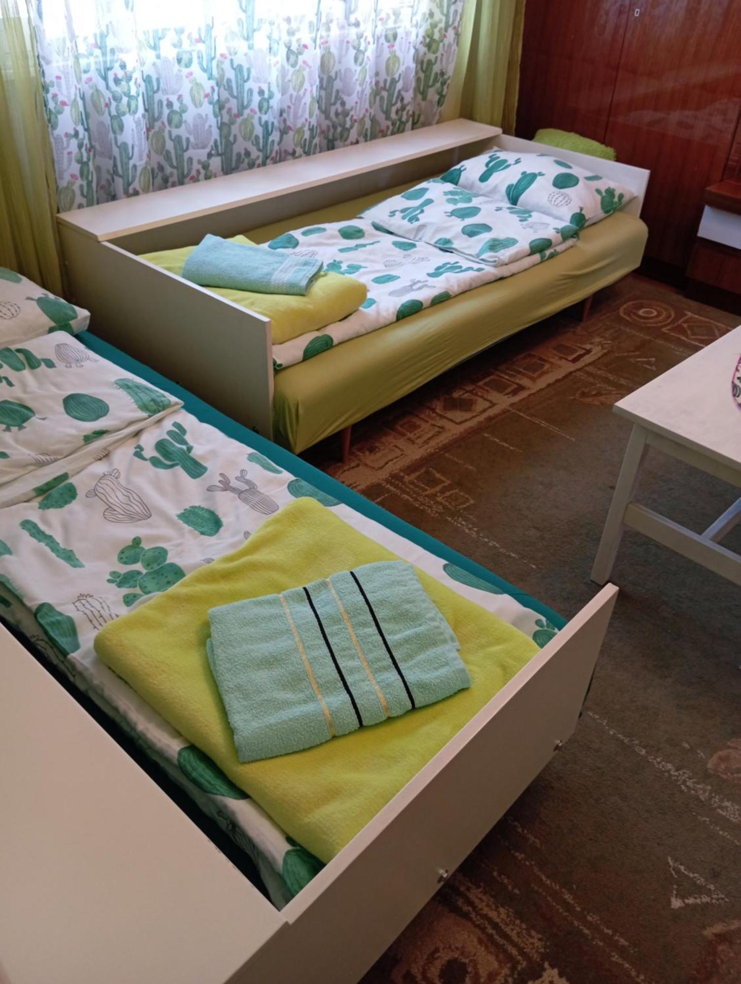 Green Cactus Rooms - Unique And Cozy House Senta Exterior photo