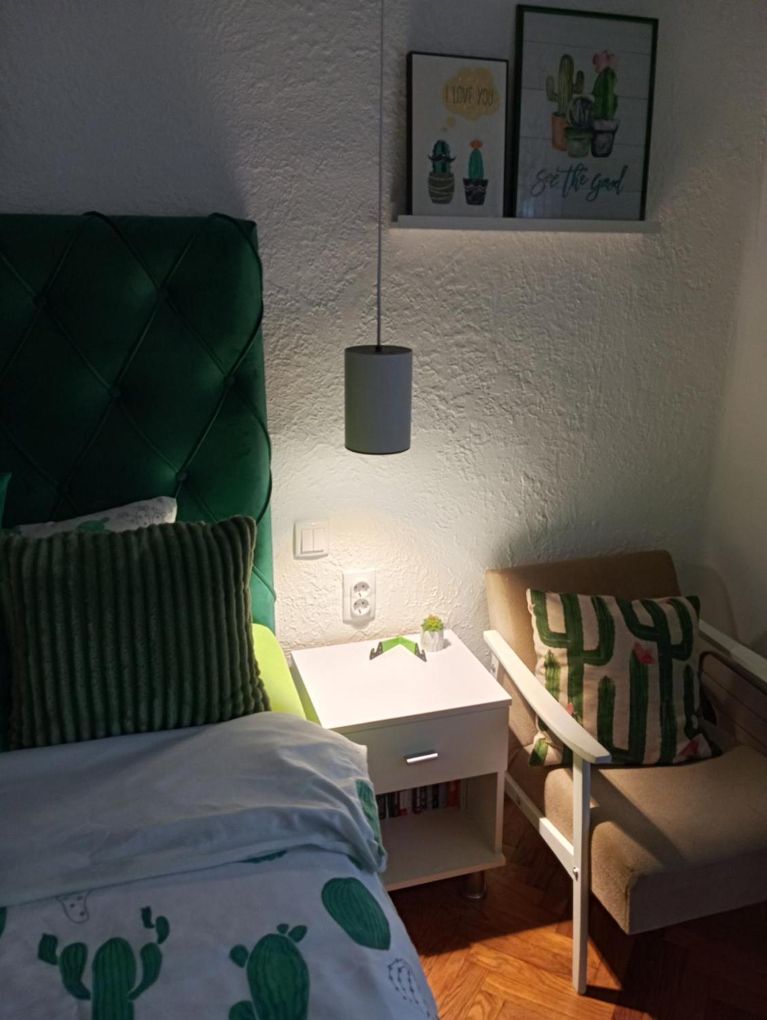 Green Cactus Rooms - Unique And Cozy House Senta Exterior photo