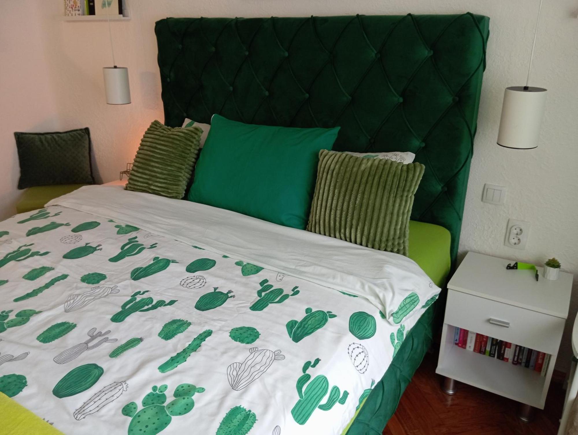Green Cactus Rooms - Unique And Cozy House Senta Exterior photo