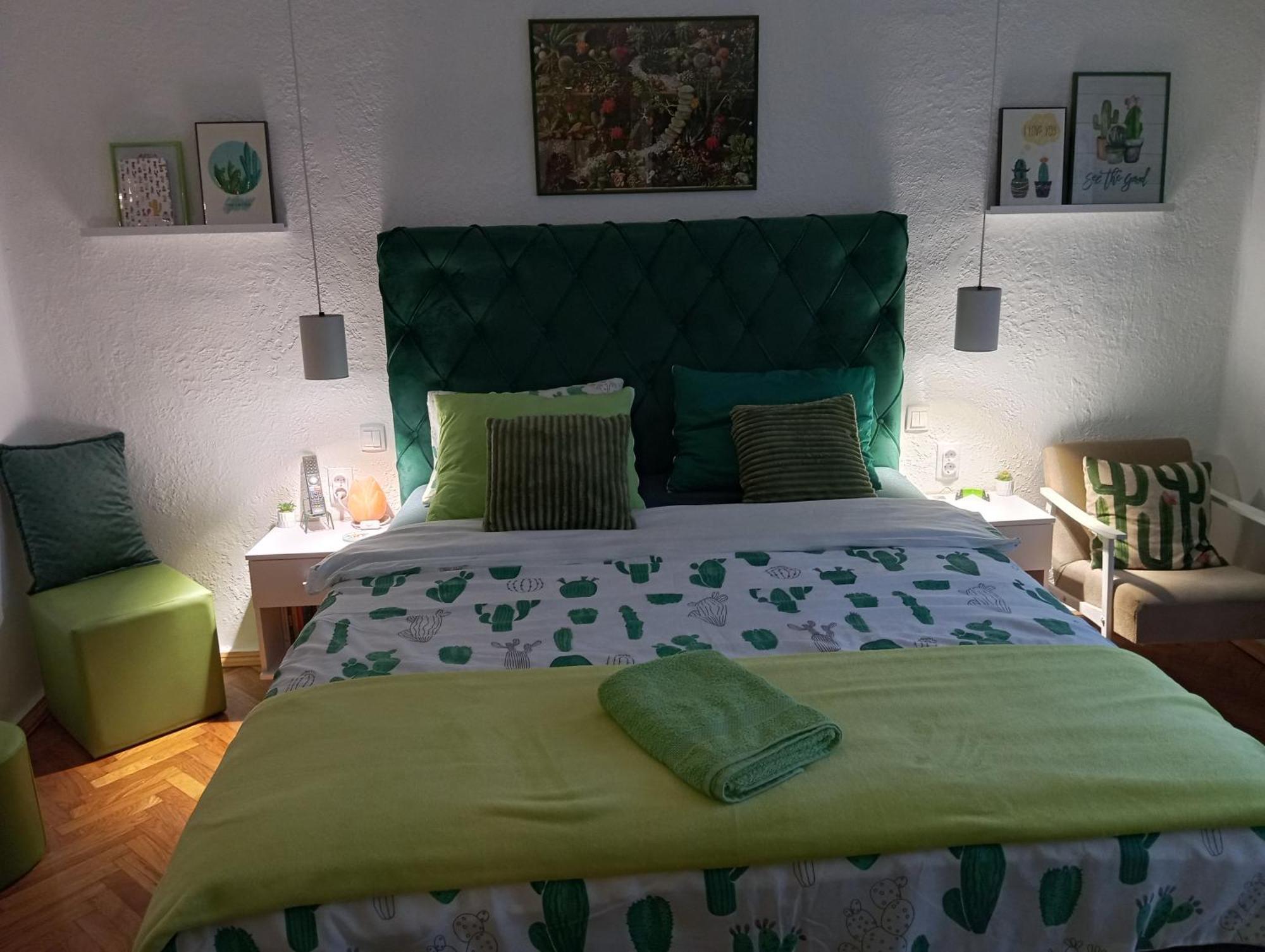 Green Cactus Rooms - Unique And Cozy House Senta Exterior photo